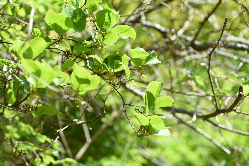 undefined undefined/istockphoto.com