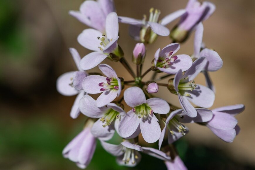 ErikAgar/istockphoto.com