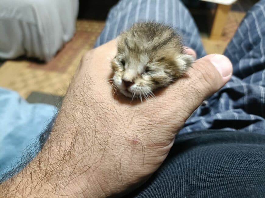 飼い主さんお気に入りのショット