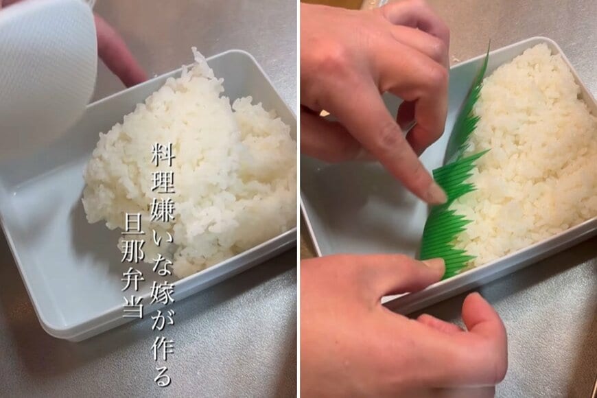 投稿の画像