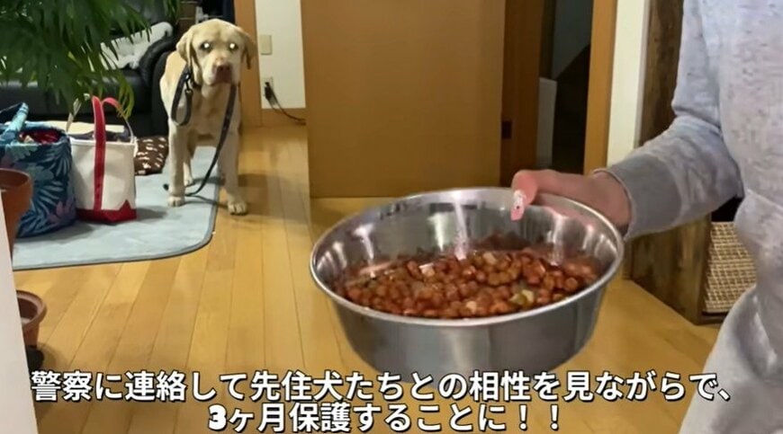 投稿の画像
