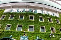 甲子園決勝、現地観戦するといくらかかる？2026年大会で導入された“入場料の仕組み”を解説