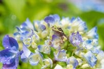 公務員の退職金は平均いくらか？会社員と比較！厚生年金の平均受給額も早見表でチェック