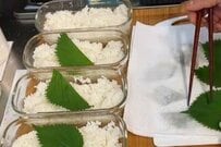 【やる気10％】主婦が早朝4時30分から作る「シャケ弁当」　豪華な見た目に「天才」