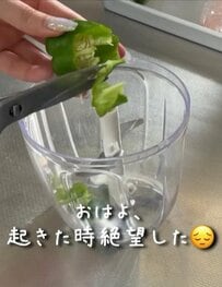 【寝坊弁当】たったの15分で完成！同棲中の彼に作る「オムライス弁当」が美味しそうすぎる