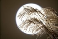 【75歳からの後期高齢者医療】今まであった医療費「2割負担」への《配慮措置が9月30日で終了》影響が出る対象者はどれくらいいる？