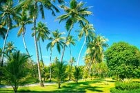 富裕層ならではの思考と行動とは？お金に好かれる人が「しないこと」5選