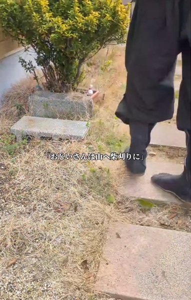 変身前の庭