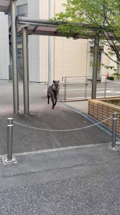 目の前に現れたのは…