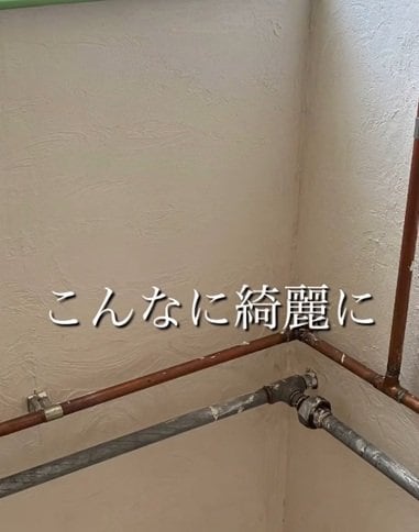 投稿の画像