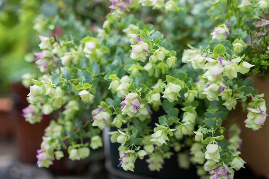 monstrose/istockphoto.com