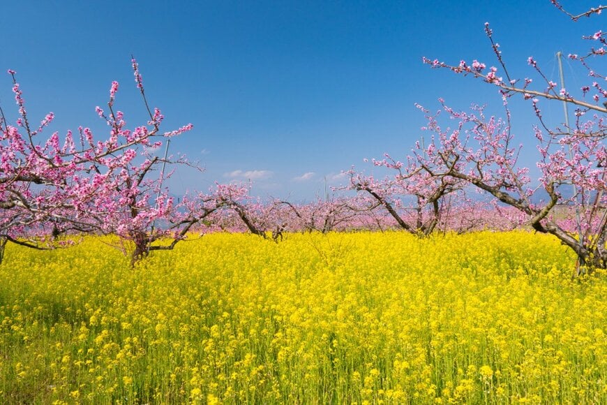 kt-wat/shutterstock.com