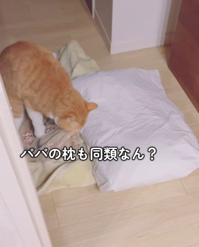 出所：＠miko_nekoneko