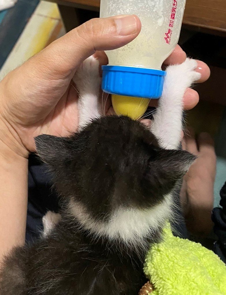 出所：@00shitemita