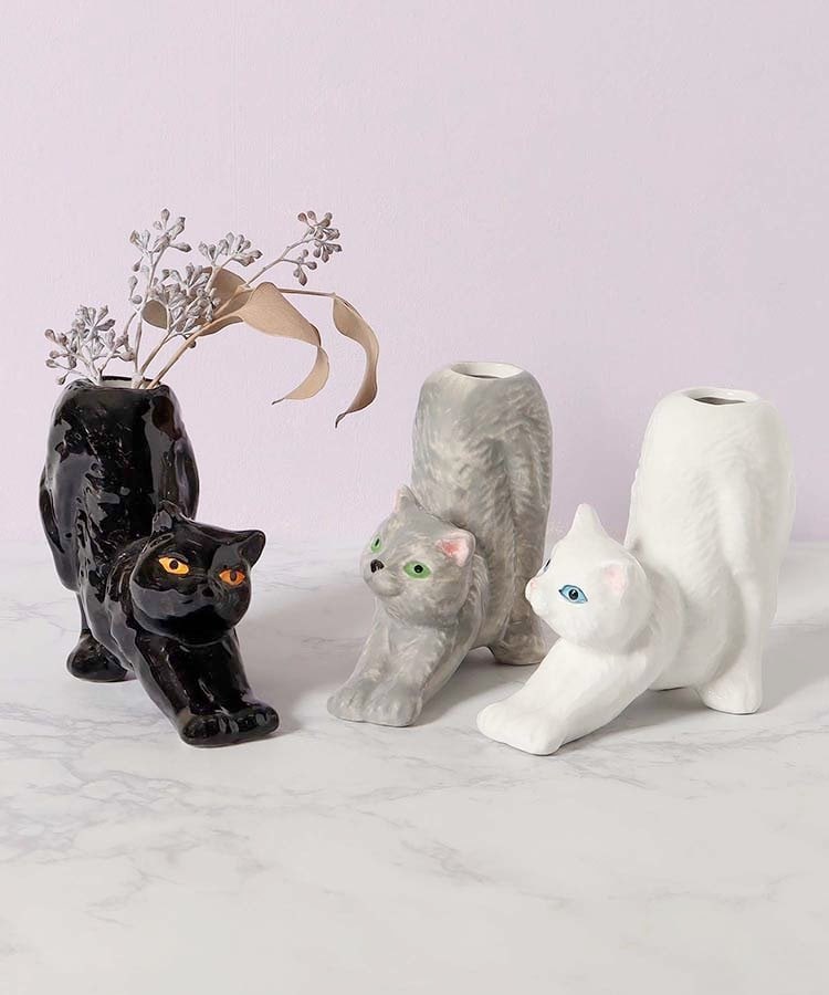 出所：ブルーブルーエ公式　ストレッチキャットベース