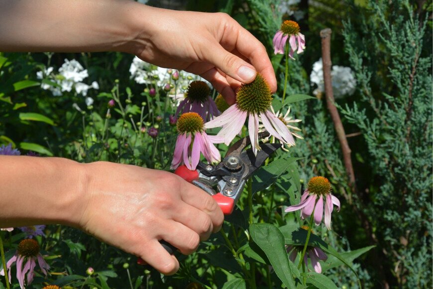 Lex20/istockphoto.com