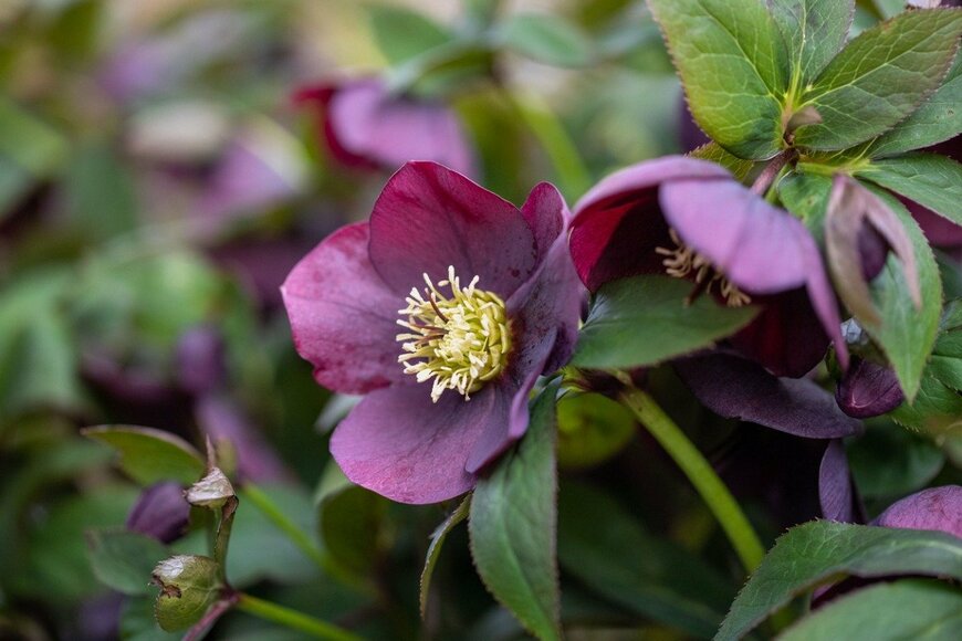 Aaron Meijer/istockphoto.com