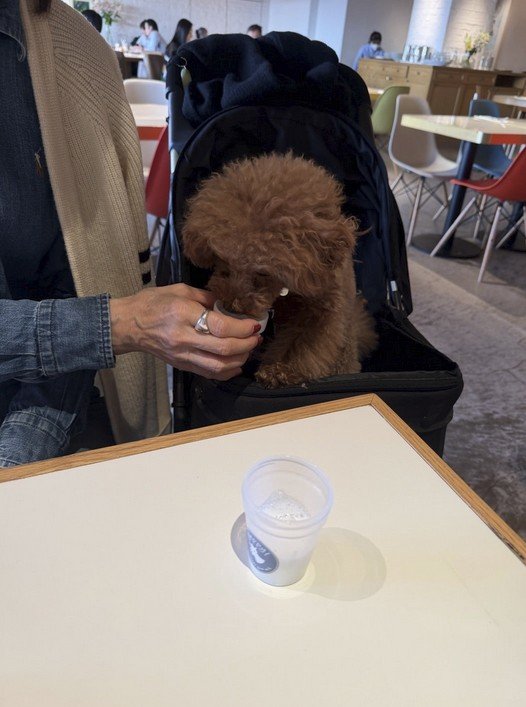 出所：柏木由紀子の公式ブログ　参照日：2026年3月26日