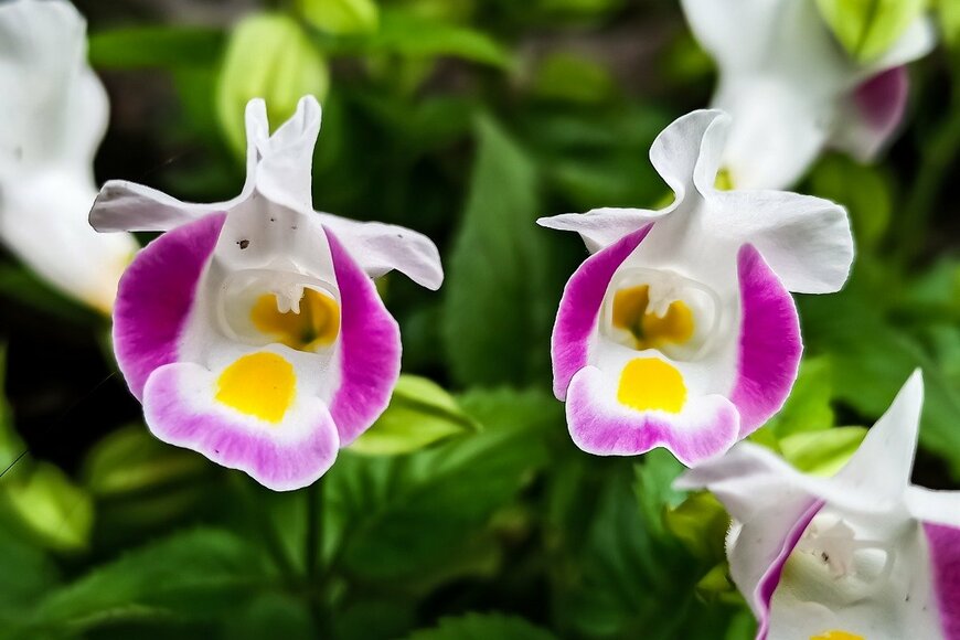 Khusnun Nisak Assalami/istockphoto.com