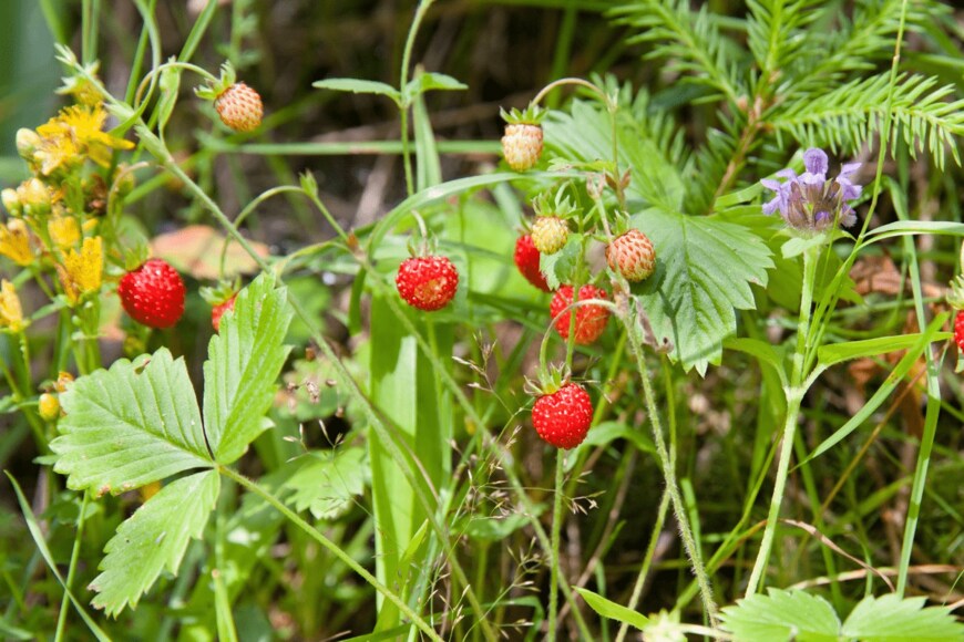 TatianaNurieva/istockphoto.com