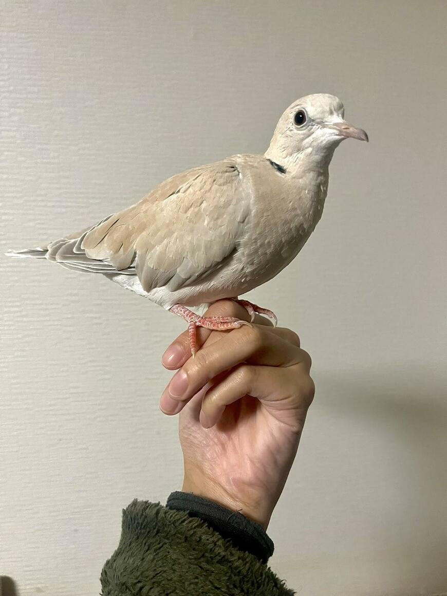 出所：@20140128spr