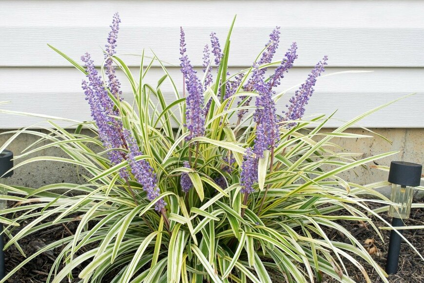 lawcain/istockphoto.com