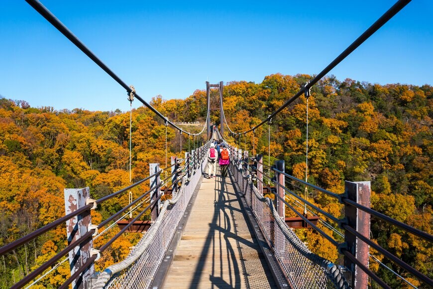 Pixel Professional/shutterstock.com