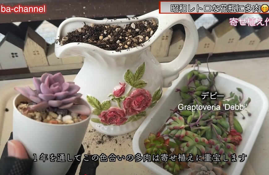 【多肉植物寄せ植え】昭和レトロと相性抜群！実家に眠っていた花瓶に多肉植物を寄せ植えしてみたら最高だった！