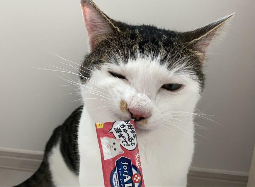 出所：@Saeroyi_cat