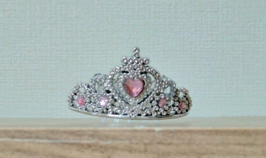 筆者撮影（セリア、ペット用ティアラ）