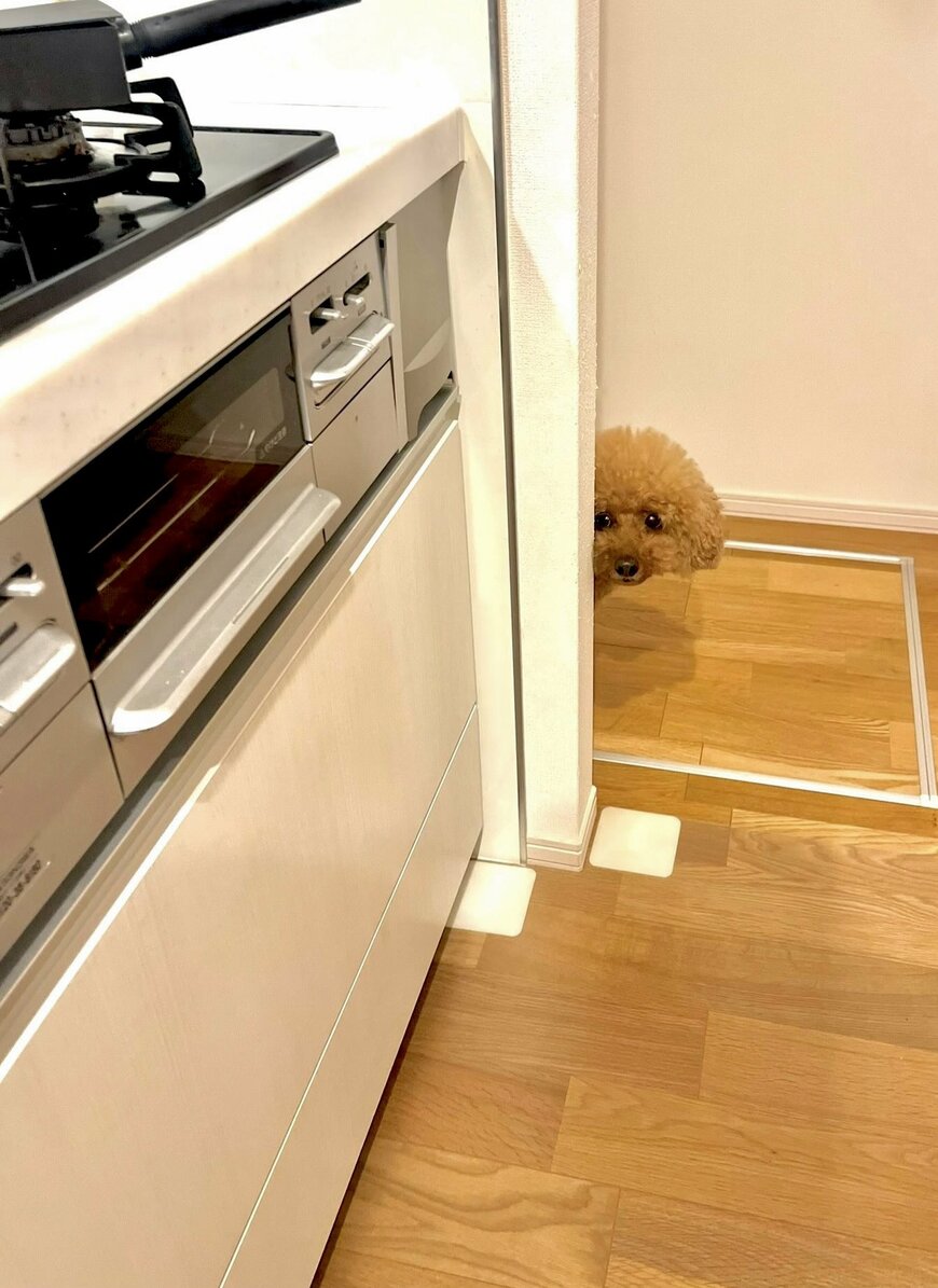 出所：@IW29WOXYx9SJanR