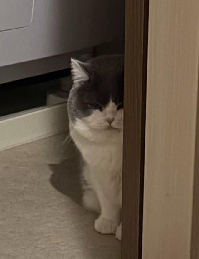 出所：@brimochi222