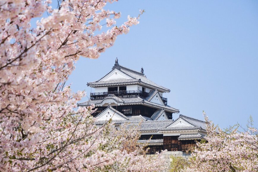 fumoto_s/shutterstock.com