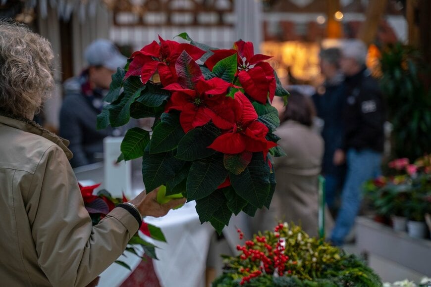 bear_productions/Shutterstock.com