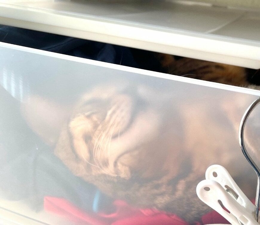 出所：@Beercat_Ana_Dar