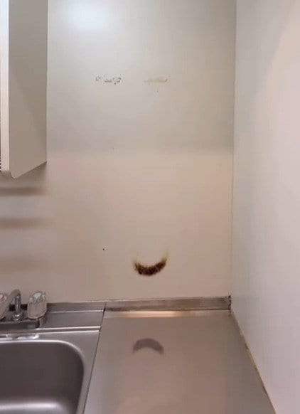 出所：@asami_kurashi