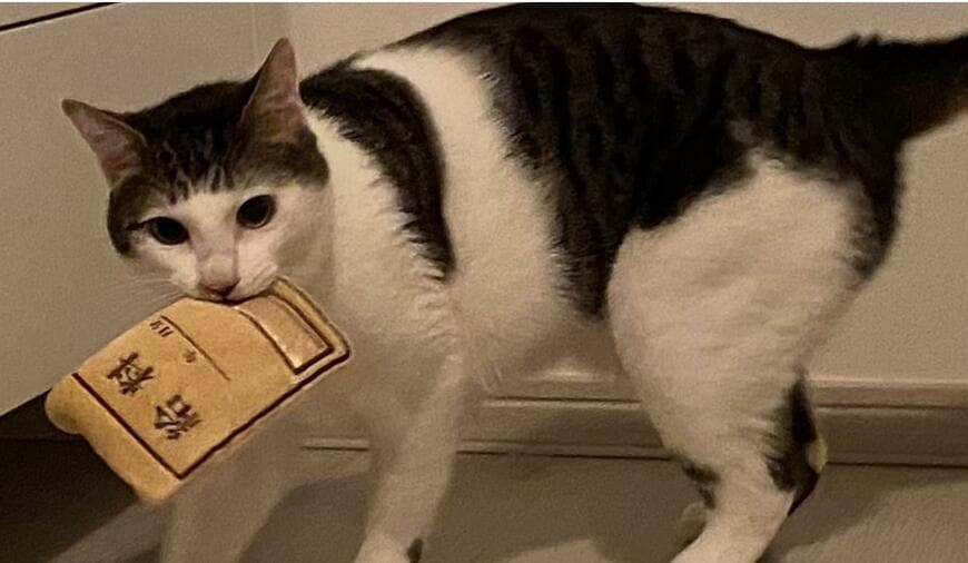 出所：@Saeroyi_cat