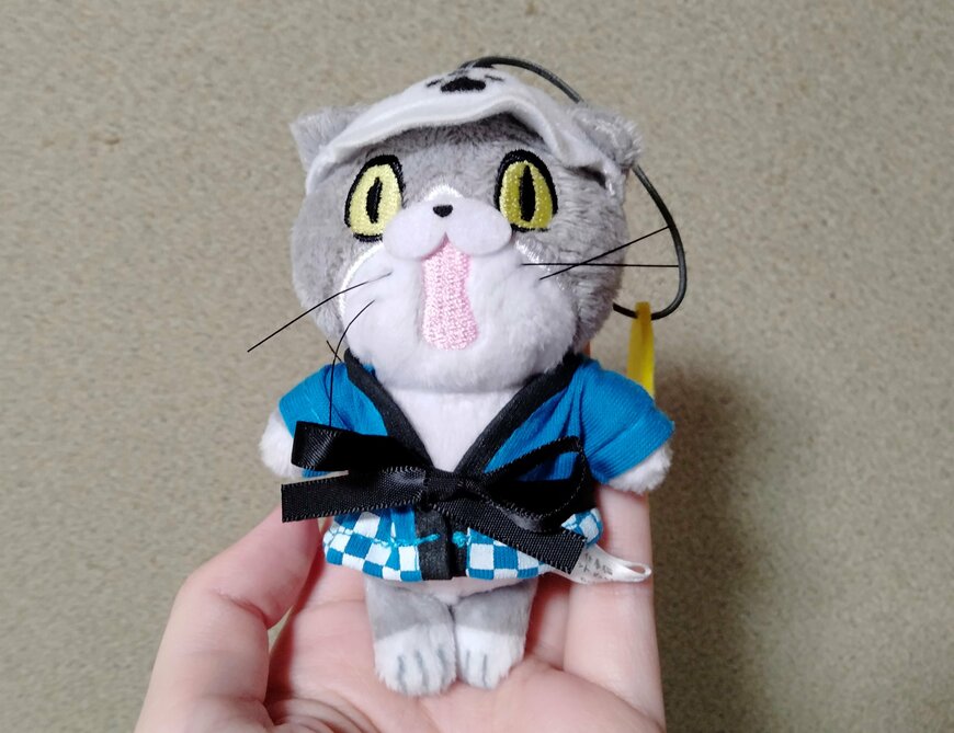 筆者撮影（セリア、ぬい用はっぴ ヲタコレ）