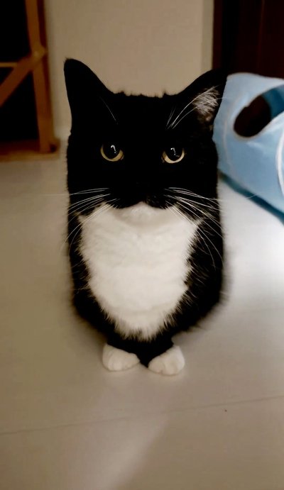 出所：@unicouniuni3