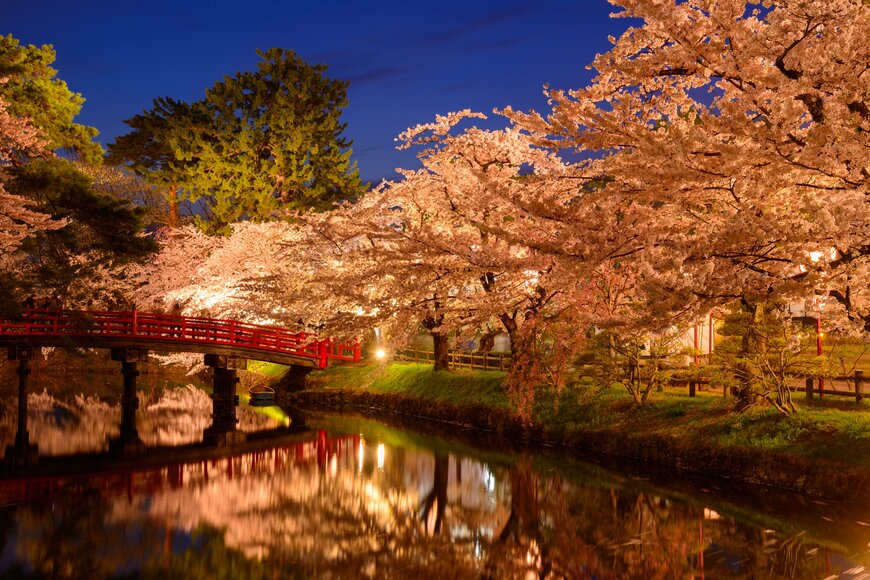 【2024年版お花見】「日本三大夜桜」の名所とは？ライトアップされた幻想的な夜桜を紹介