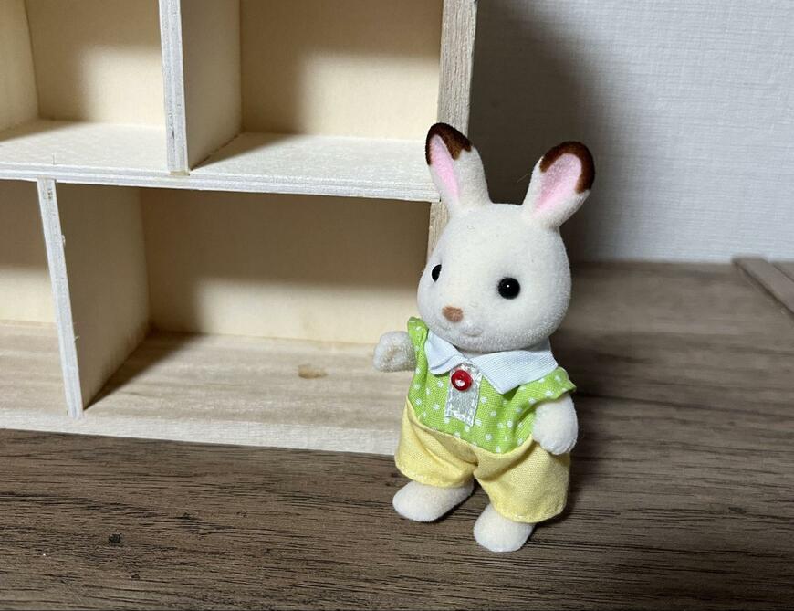 ダイソー、仕切りウッドボックス(ハウス)