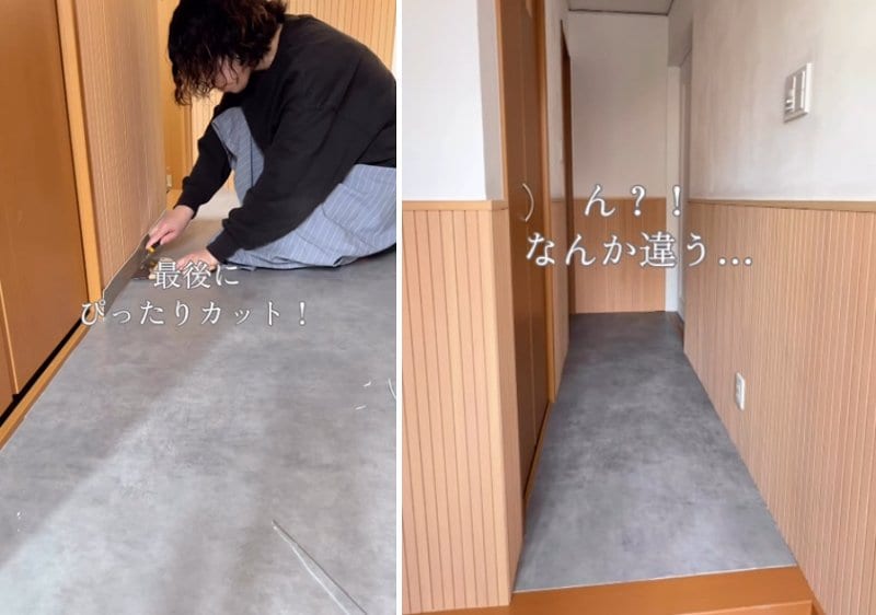 投稿の画像