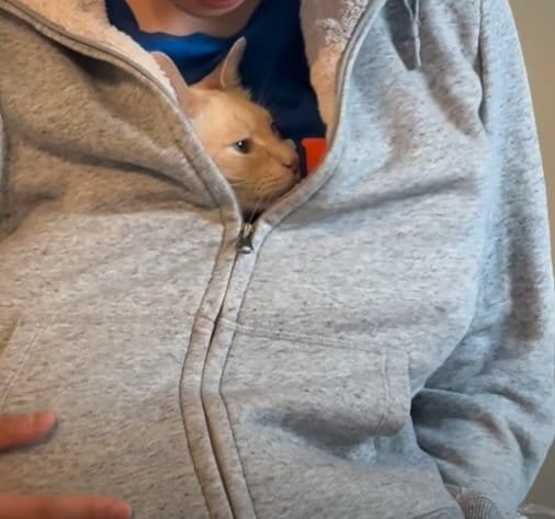 優しく撫でるお兄ちゃんにもほっこり