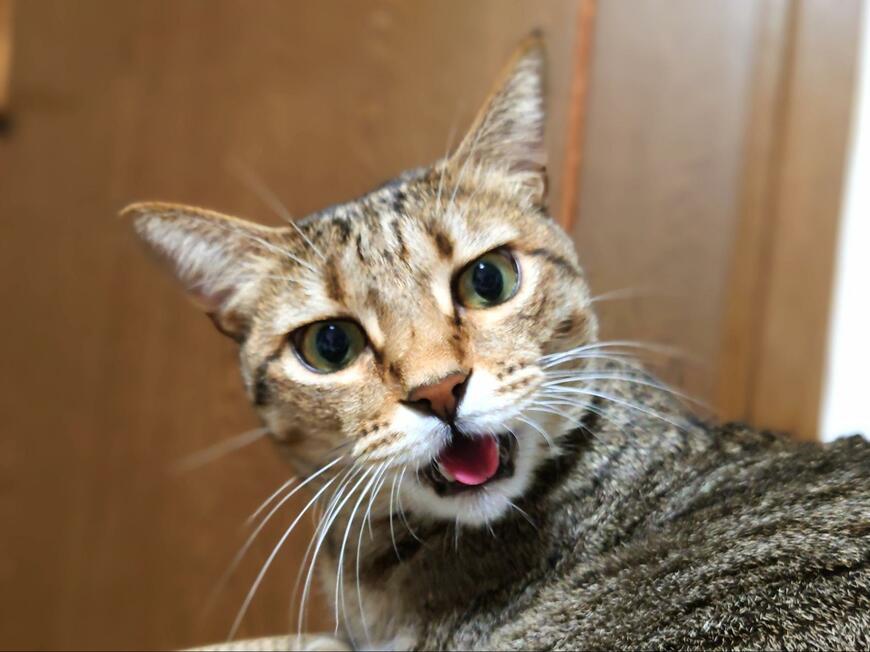 怒り心頭のもなちゃん