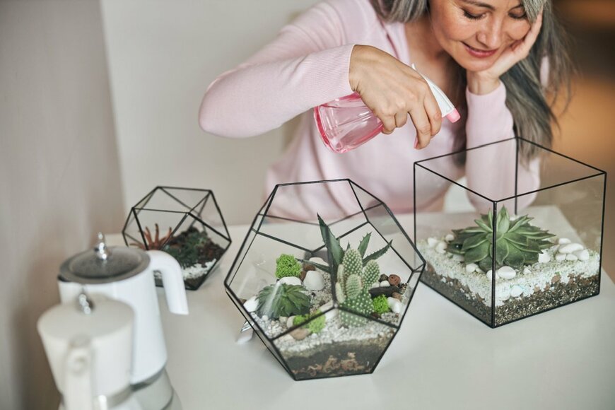 テラリウム。幾何学的なガラスに植物が収められている。女性が霧吹きで水やりをしている。