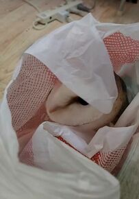 【袋入りのフクロウ】かわいいダジャレに笑いが止まらない！「フクロウが袋に入っています」