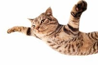 【年金一覧表】60歳～90歳以上の厚生年金・国民年金の受給額はいくら？65歳未満が少ない理由