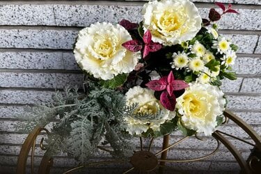 冬の玄関に！小さなハボタン主役の「ホワイト系寄せ植え」彩りを添える