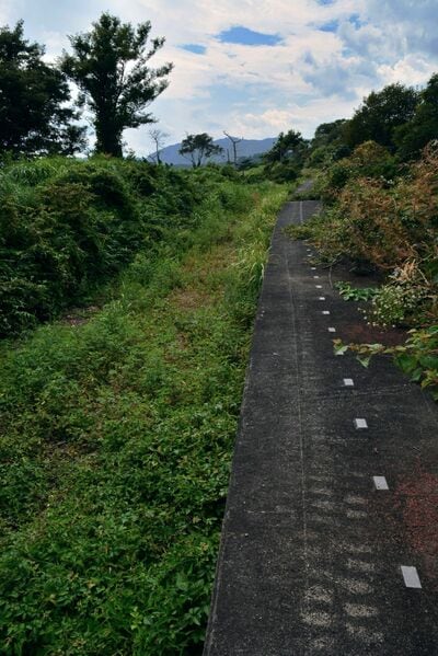 津波の影響が少なかった箇所のホーム跡