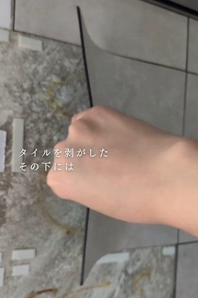 投稿の画像